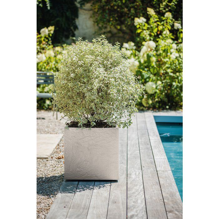 Pot de fleurs Carré 50 cm - EDA - Volcania - 57 L - Intérieur/Extérieur - Décor Pierre - 49,5 x 49,5 x H. 49,5 cm - Beige Calcaire