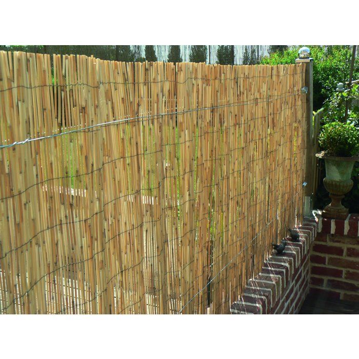 Paillon - NATURE - Tiges de roseaux naturels pelés - 5 x 1 m