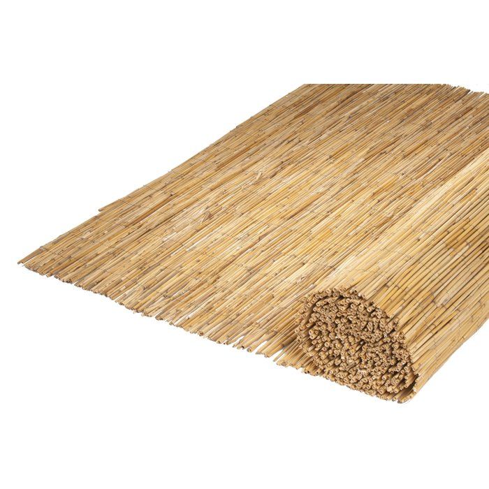 Paillon - NATURE - Tiges de roseaux naturels pelés - 5 x 1 m
