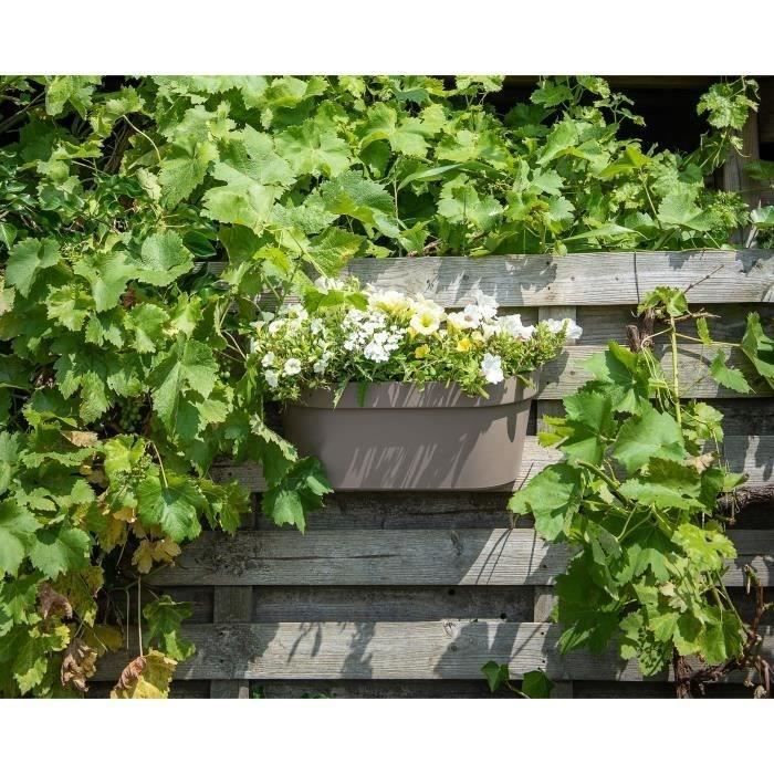 Jardiniere+crochet - GARDEN ID Star - Taupe 50 x 21 cm - Fixation facile - Réserve d'eau - recyclé et 100% recyclable