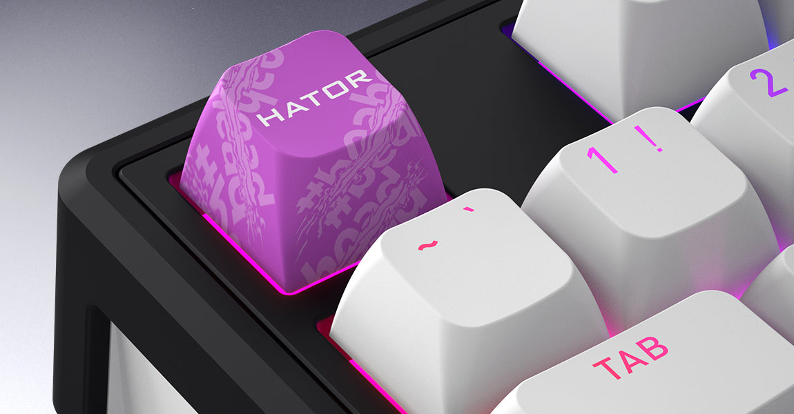 Clavier Gamer sans fil magnétique (Hator Aurum Linear) Hator Skyfall 65 Mag Ultima 8K TKL RGB (Noir)