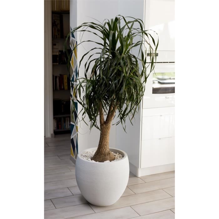 EDA Pot rond Graphit ÿ50cm - Contenance 46L - Blanc cÈrusÈ