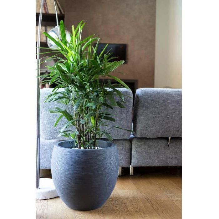 Pot de fleurs Rond Egg Ř 50cm - EDA - Graphit - 46 L - Ř 50 x H. 45 cm - Gris Anthracite