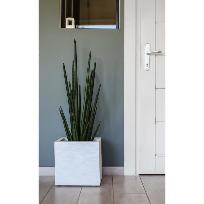 Pot de fleurs Carré 30 cm - EDA - Graphit Up - 21 L - Intérieur / Extérieur - 29,5 x 29,5 x H. 29,5 cm - Blanc Cérusé