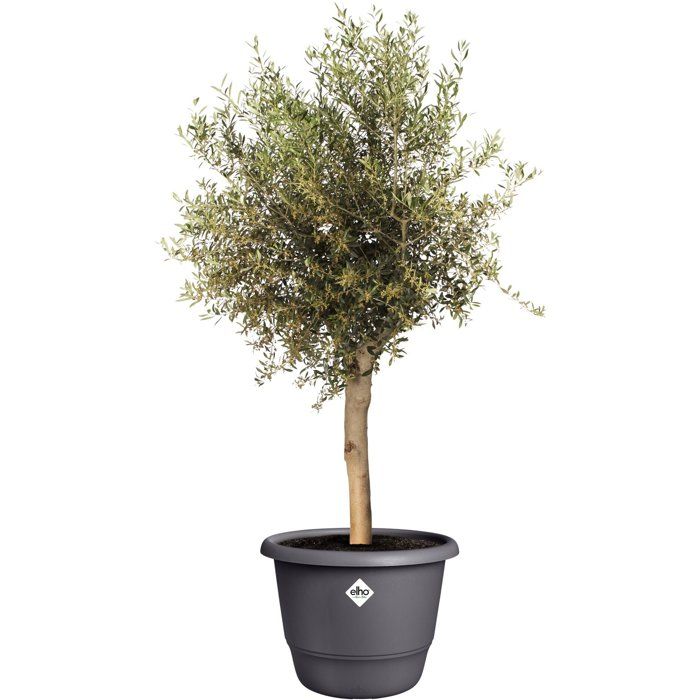 Pot de fleur rond - ELHO - Amiga Rond 55 - 55 L - Ø 55 x H 51 cm - Noir - Extérieur