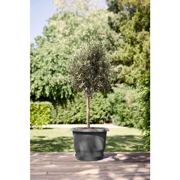 Pot de fleur rond - ELHO - Amiga Rond 55 - 55 L - Ø 55 x H 51 cm - Noir - Extérieur