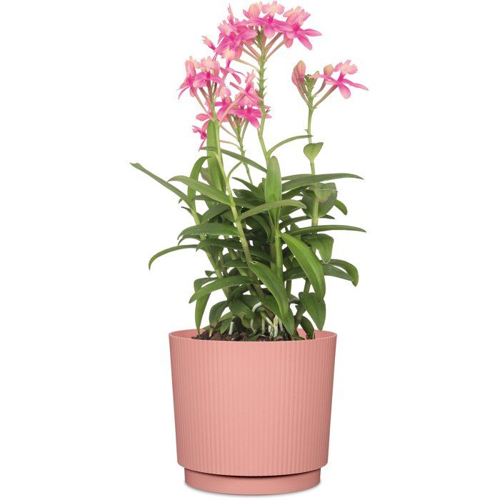 Cache-pot rond - GARDEN ID - Lino - Ø 25 - 7 L - H 22 cm - Rose