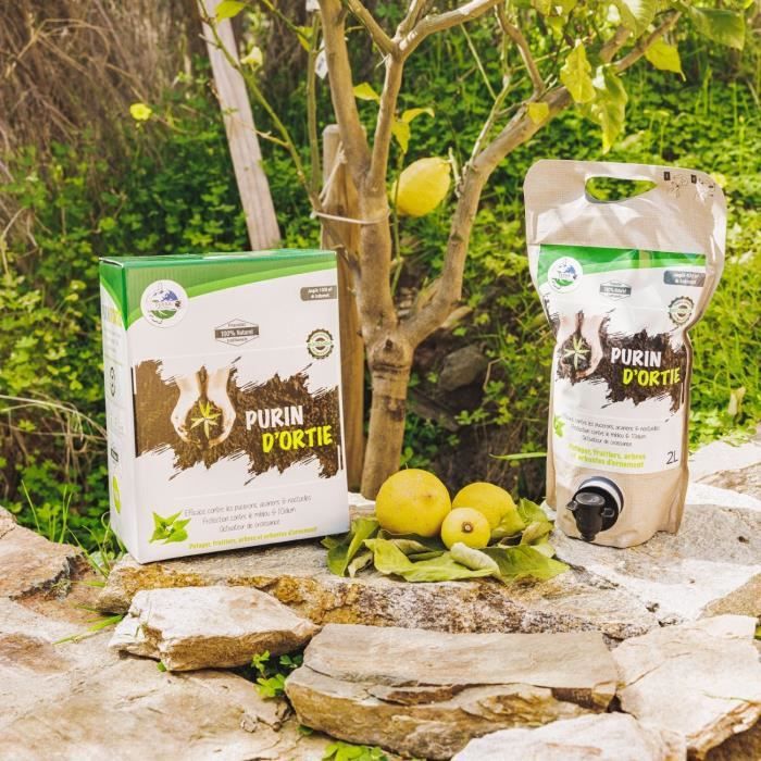 TERRA NOSTRA - Purin d'Ortie - 162335 - Concentré - 1,5 L