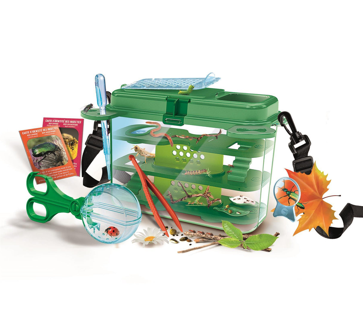La maison des insectes - Clementoni - Science & Jeu - Jeux Scientifiques