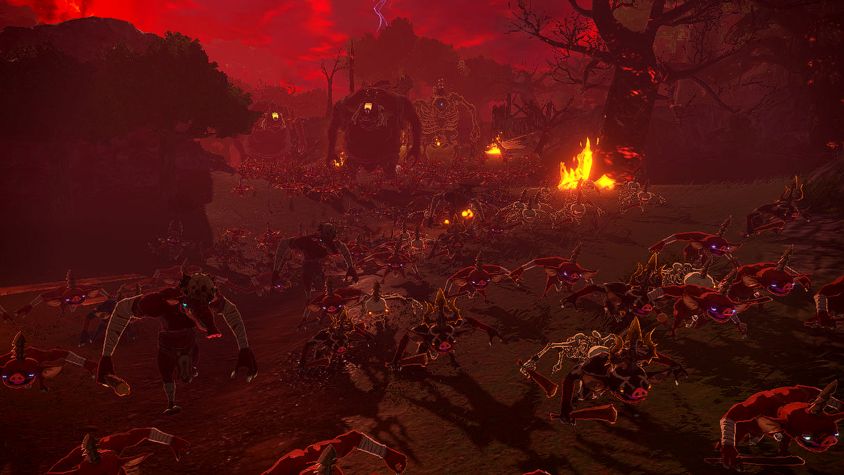 Hyrule Warriors: Les Chroniques du Sceau • Jeu Nintendo Switch 2