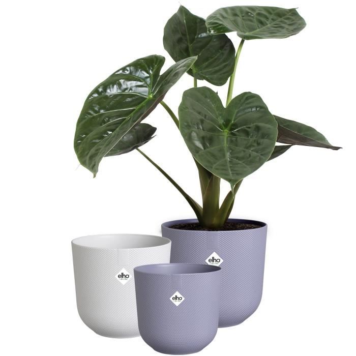 ELHO Lot de 3 pots de fleurs rond Jazz - Ø14xH13,1, Ø16xH15,3, Ø19xH17,6 cm - 7 L - Lila et Blanc