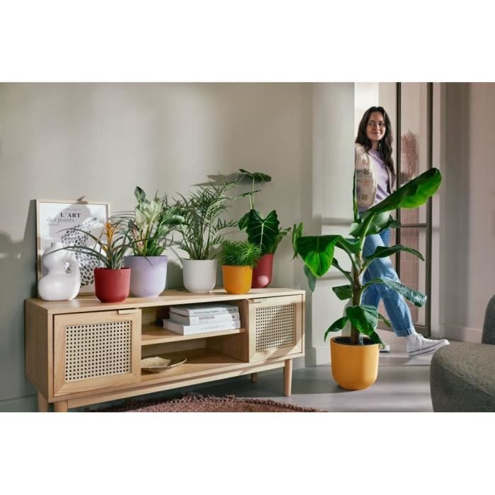 ELHO Lot de 3 pots de fleurs rond Jazz - Ø14xH13,1, Ø16xH15,3, Ø19xH17,6 cm - 7 L - Lila et Blanc