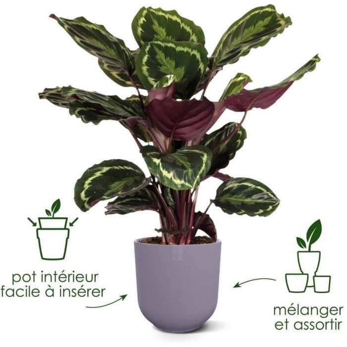 ELHO Lot de 3 pots de fleurs rond Jazz - Ø14xH13,1, Ø16xH15,3, Ø19xH17,6 cm - 7 L - Lila et Blanc