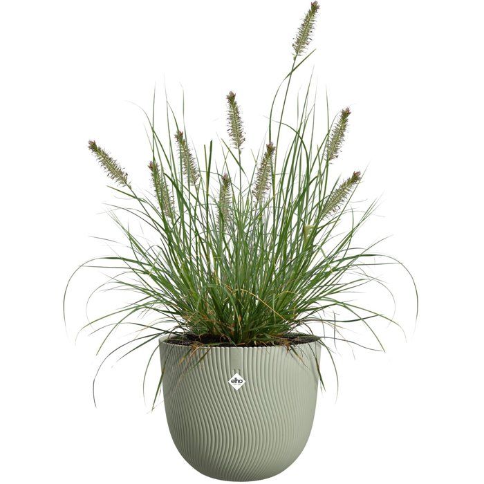 Pot de fleur rond - ELHO - Sereh Rond 60 - 110 L - Ř 59 x H 51 cm - Vert - Intérieur/extérieur