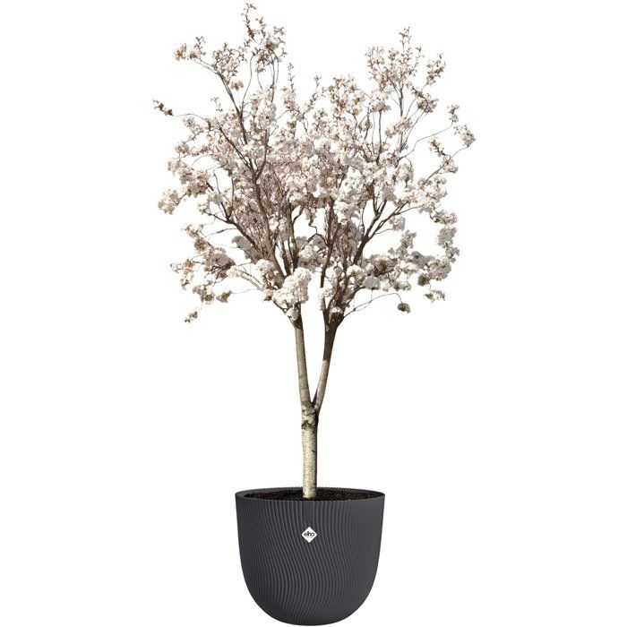 Pot de fleur rond - ELHO - Sereh Rond 60 - 110 L - Ø 59 x H 51 cm - Noir - Intérieur/extérieur