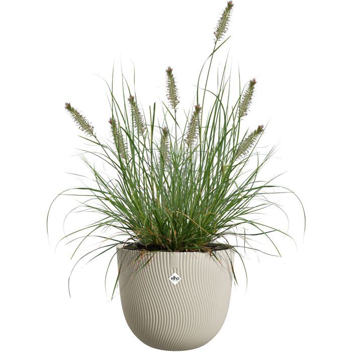 Pot de fleur rond - ELHO - Sereh Rond 60 - 110 L - Ø 59 x H 51 cm - Beige - Intérieur/extérieur