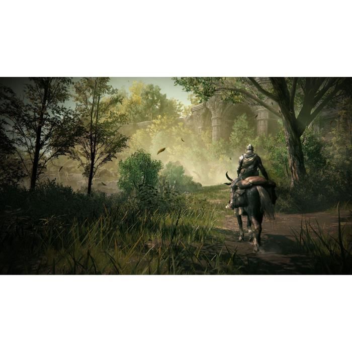 Elden Ring Shadow Of The Erdtree Goty - Jeu PS5