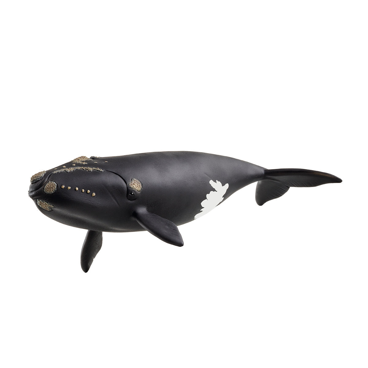 Figurine baleine de l'atlantique, Schleich 14878 Wild Life, des 5 ans
