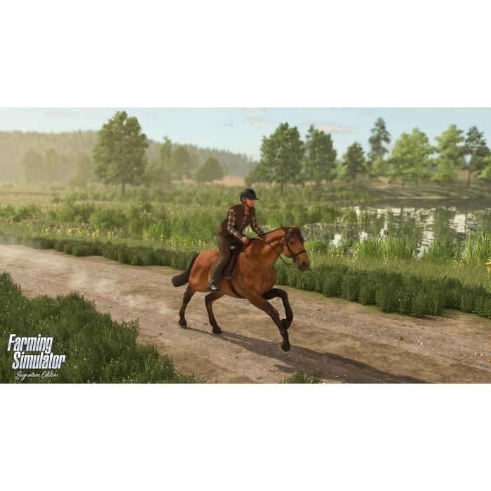 Farming Simulator - Signature Edition Jeu Nintendo Switch 2