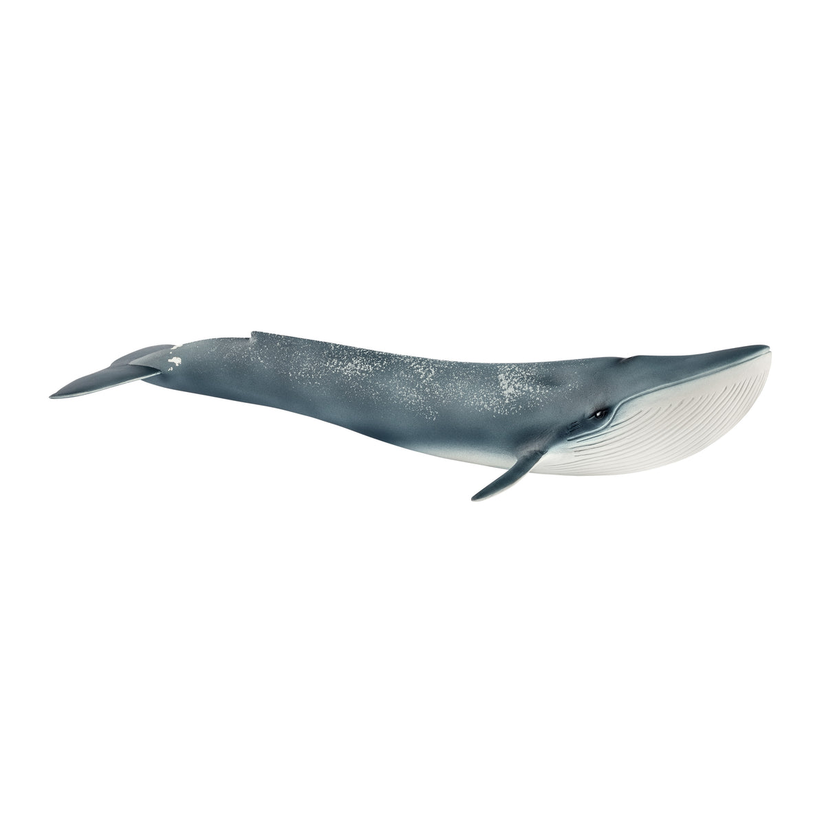 Figurine Baleine bleue - SCHLEICH 14806 Wild Life - Animal sauvage réaliste - Pour Enfant des 5 ans