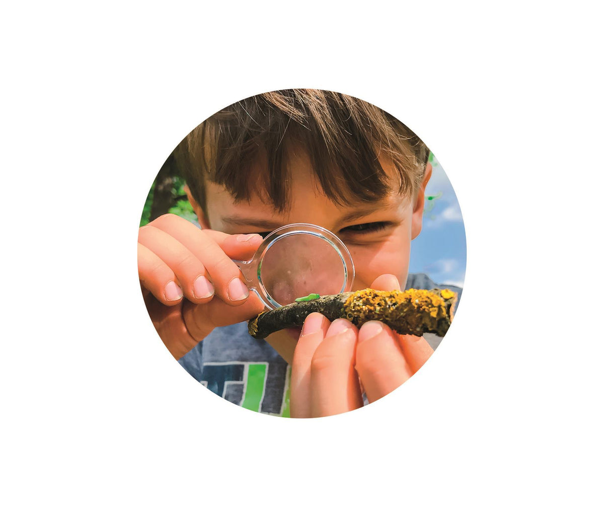 La maison des insectes - Clementoni - Science & Jeu - Jeux Scientifiques