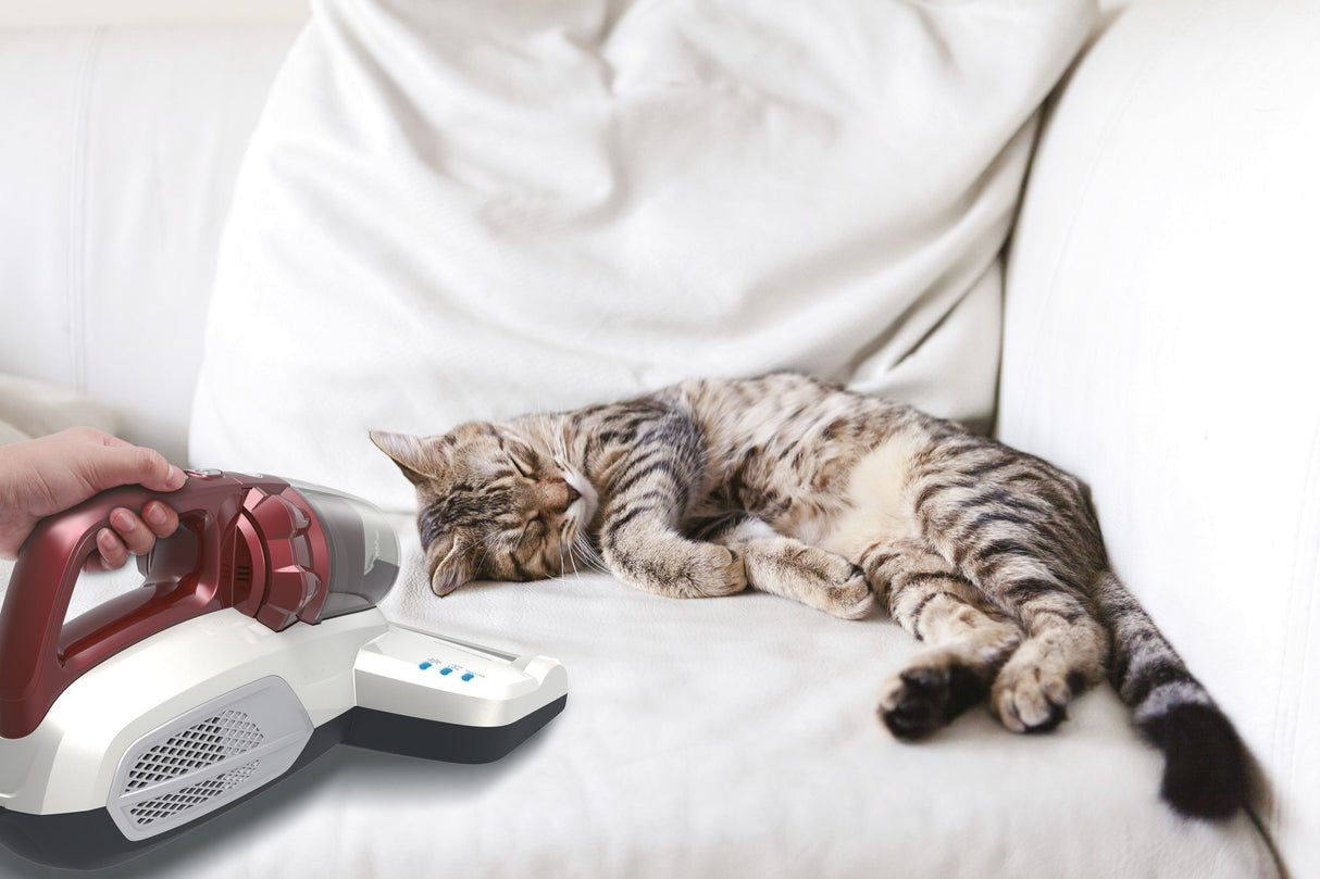 Aspirateur Matelas et Textiles Ultra Vortex - HOOVER MBC500UV - 500 W - 0,3 L - Animaux Allergies - Lampe UV-C antibactérien