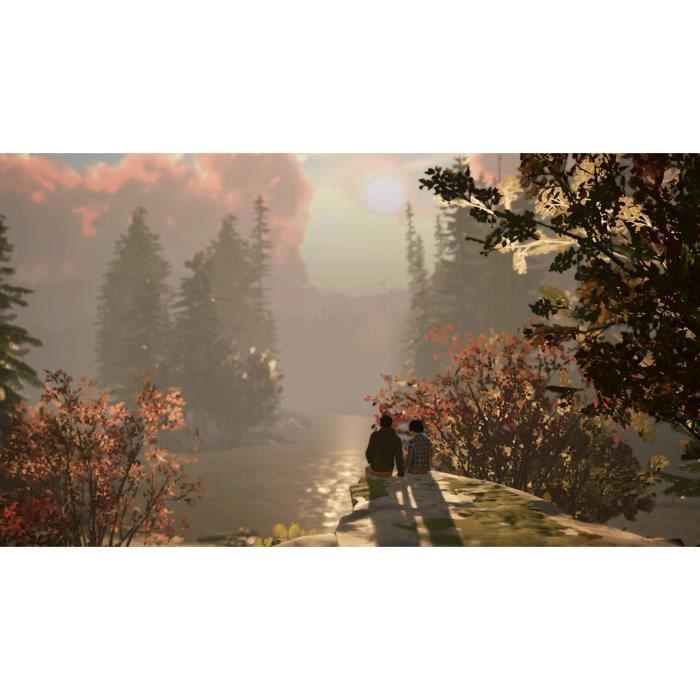 Life Is Strange 2 - Jeu Nintendo Switch - Code in a box