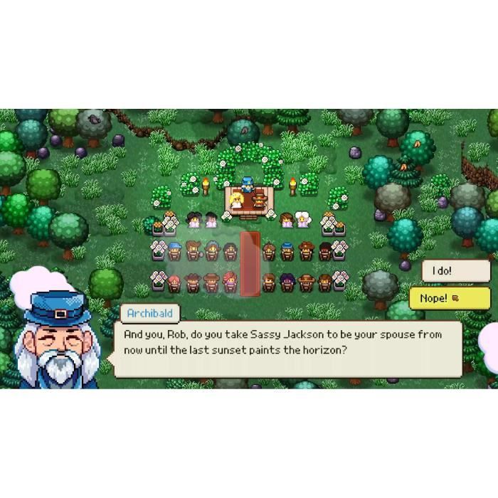 Cattle Country - Jeu PS5