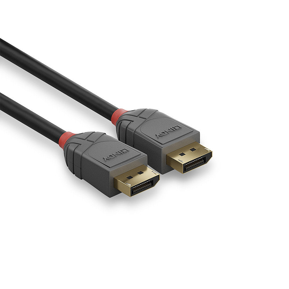 Cable DisplayPort 1.4 Lindy 1m (Noir/Gris)