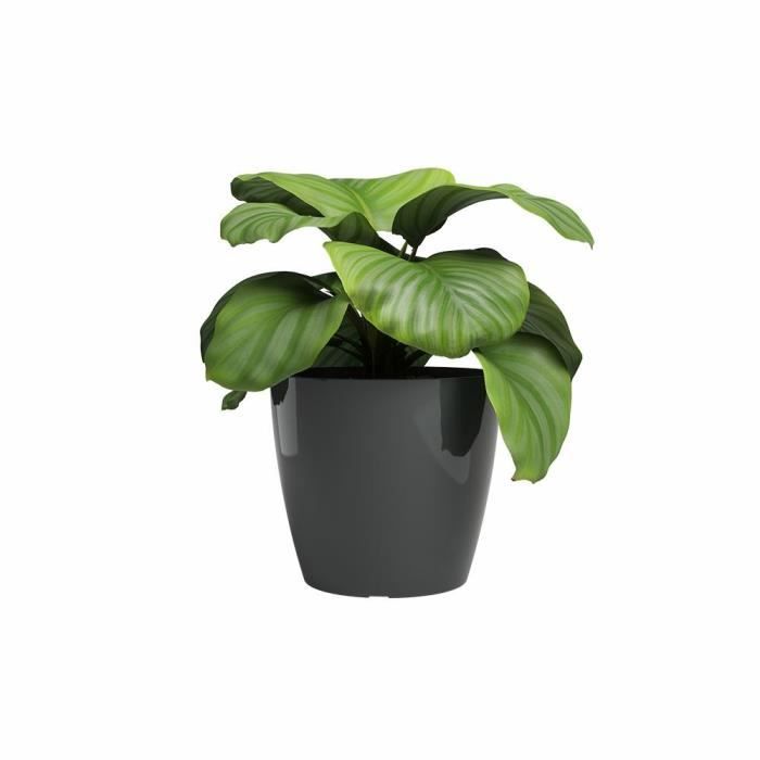 ARTEVASI Pot de fleur SAN REMO - 42 br - Anthracite - L42 x P42 x H39,5 cm