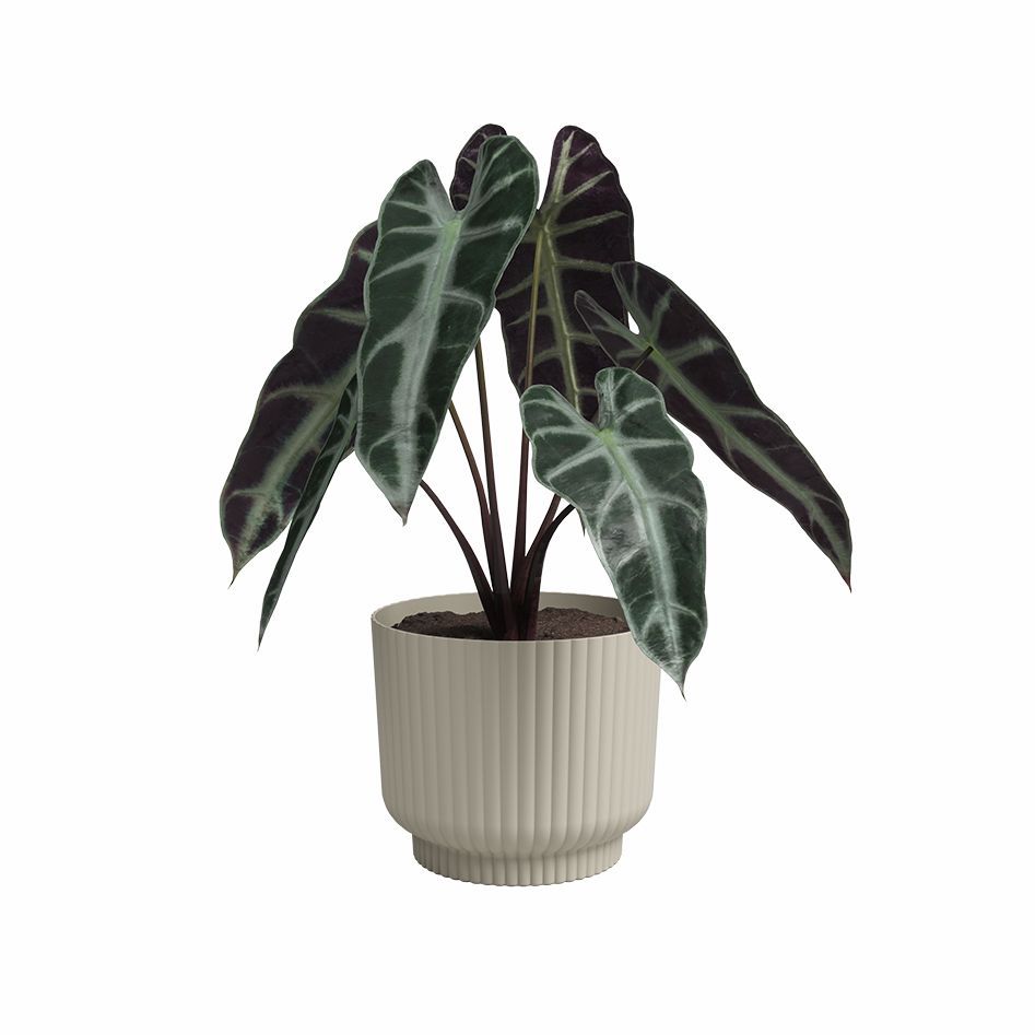 Pot de fleur - ARTEVASI - Miami Wavy - 30 cm - 13 L - Creme