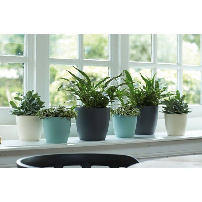 ELHO Lot de 2 pots de fleurs rond Brussels - 17 L - Ø 25,1 x H 23.2 cm - Noir