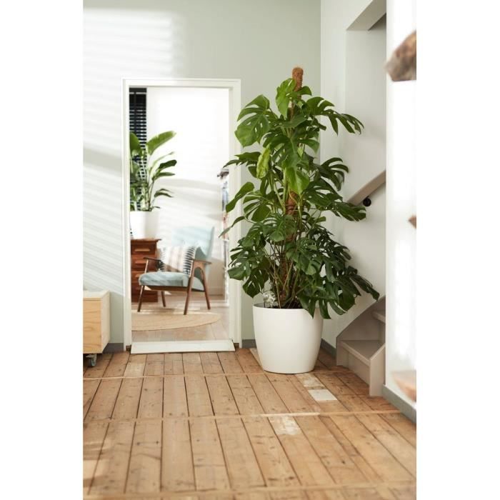 ELHO Lot de 2 pots de fleurs rond a roulettes Brussels - Ø35 x H33 cm et Ø39 x H36,5 cm - 55 L - Blanc