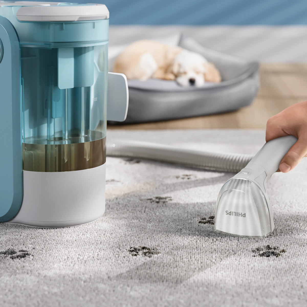Détachant PHILIPS XV1732/01 - Tapis, moquette, tissus d'ameublement - 1 L