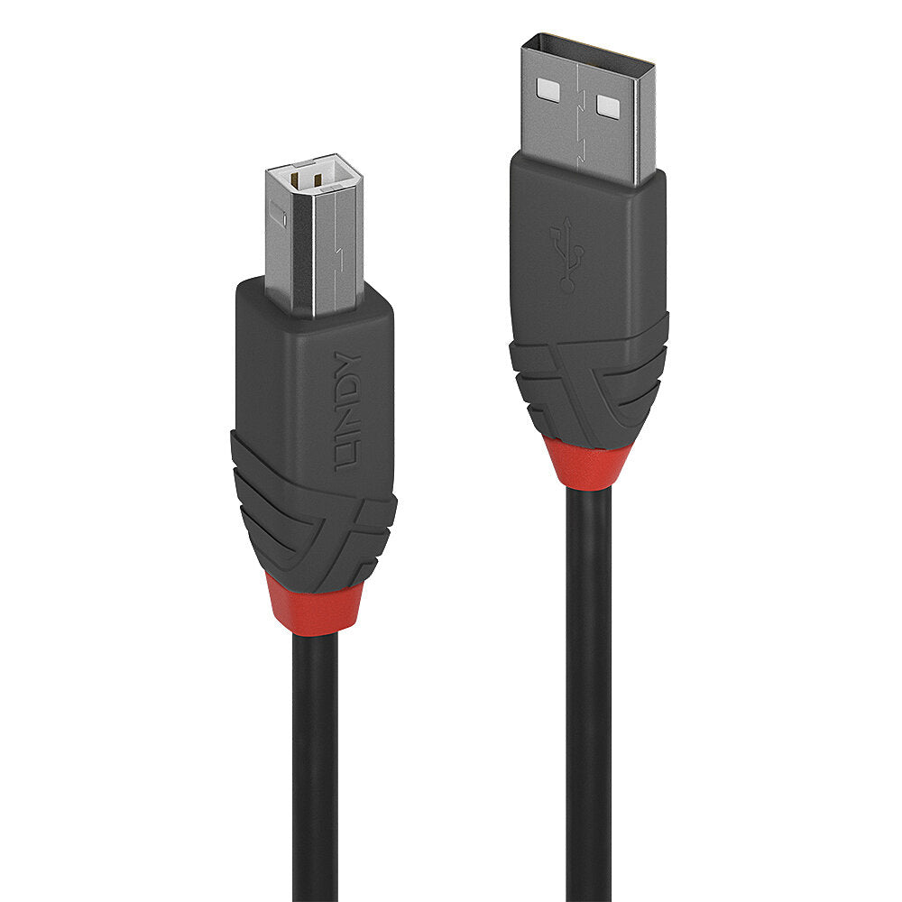 Cable Lindy USB 2.0 type A - B M/M 3m (Noir/Rouge)