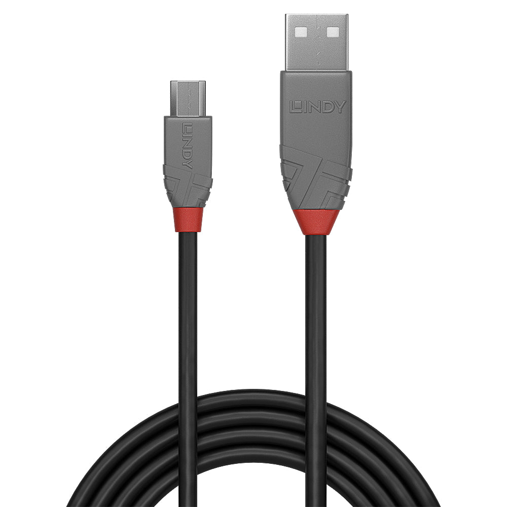 Cable Lindy USB 2.0 type A - Micro B M/M 2m (Gris)