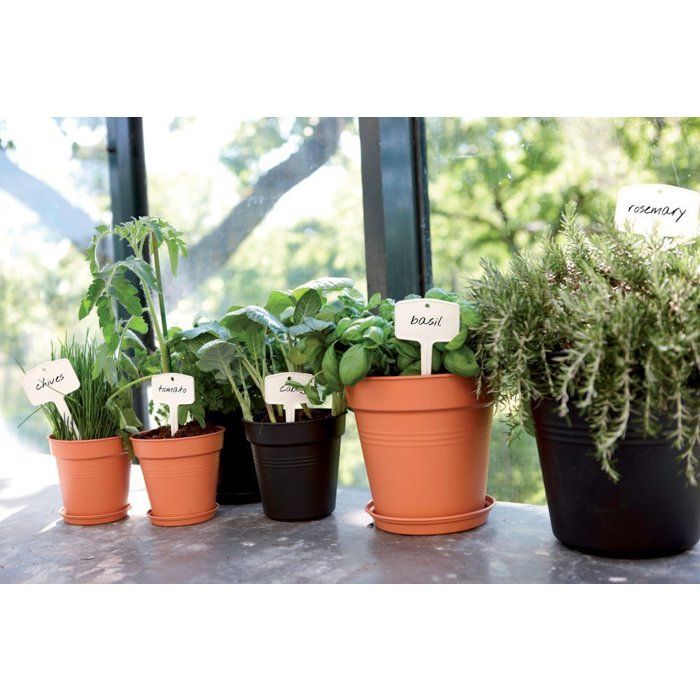 ELHO Lot de 5 pots de fleurs de culture avec soucoupe Green Basics - Ø17 x H15,7 cm + soucoupe Ø14 cm - 4 L - Noir