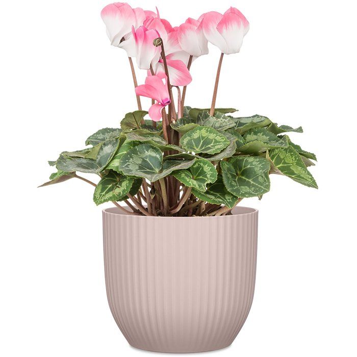 Pot de fleurs rond - DEROMA - 231 - 10 L - Ø 27 cm - Rose