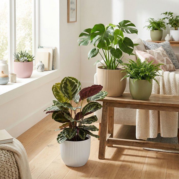 Pot de fleurs rond - DEROMA - 231 - 10 L - Ø 27 cm - Vert
