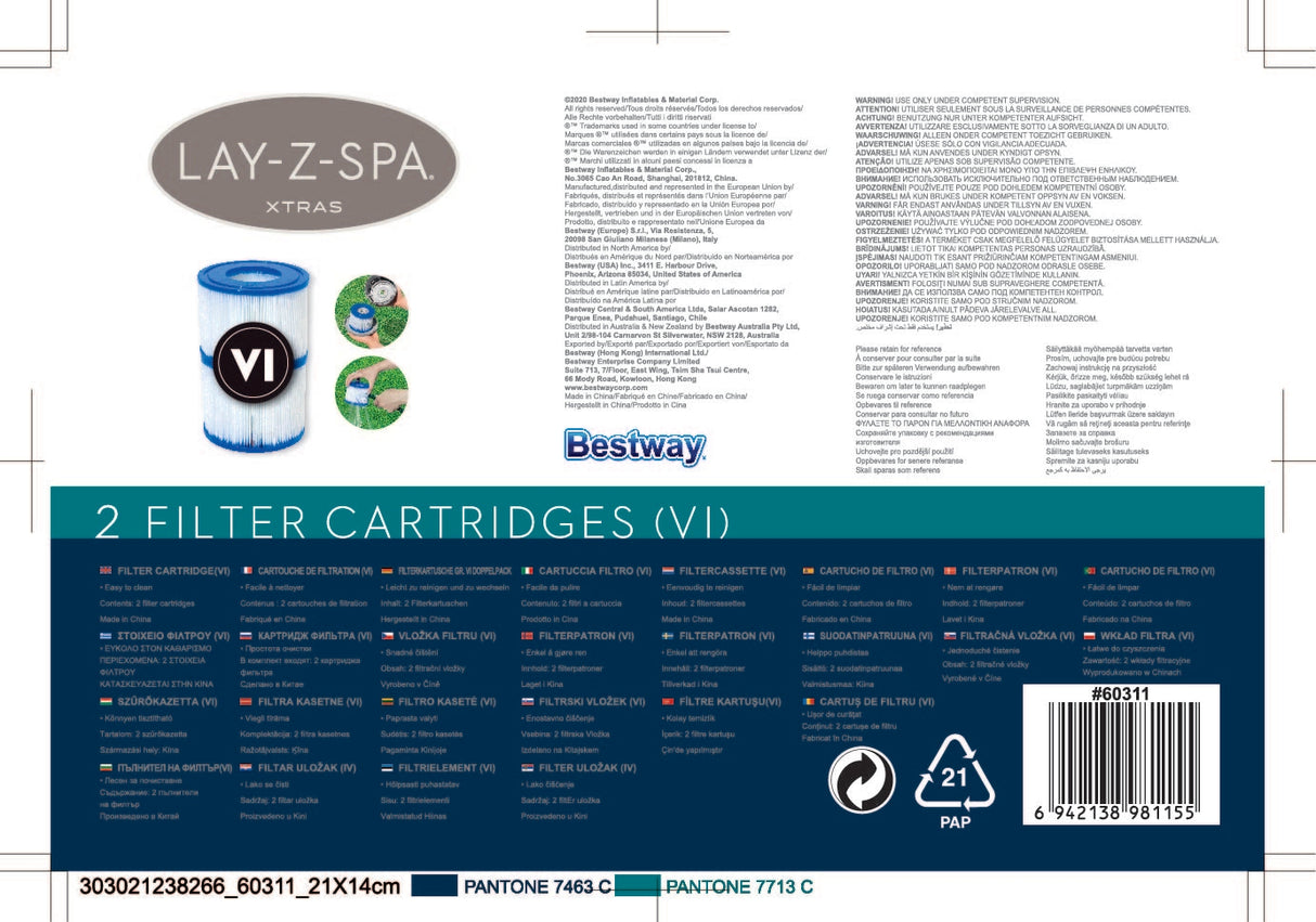 Lot de 2 cartouches type VI - BESTWAY - 60311