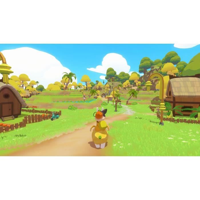 Petit Island - Jeu PS5