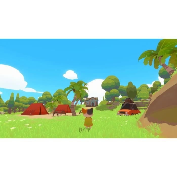 Petit Island - Jeu PS5