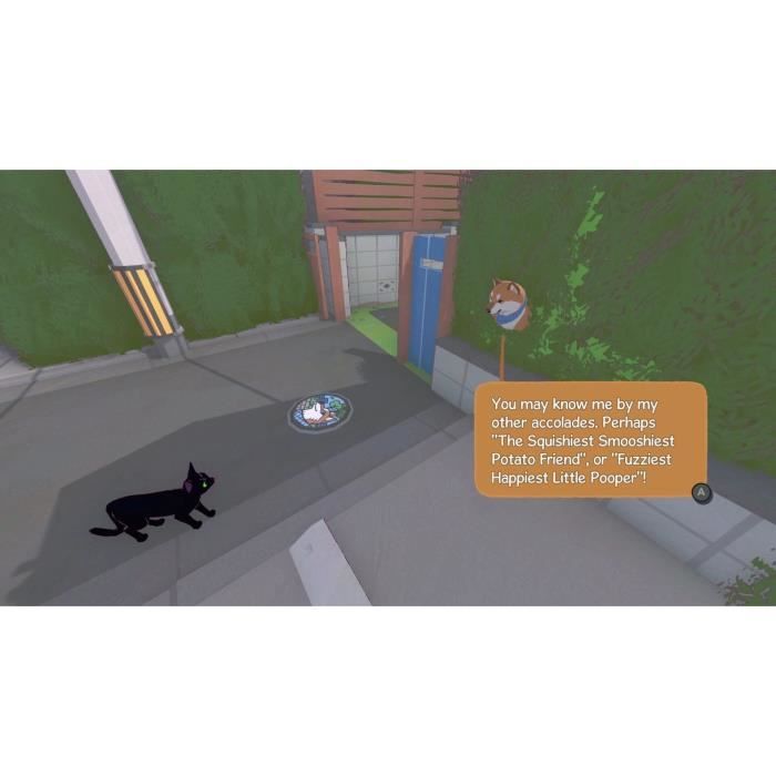 Little Kitty Big City - Jeu Nintendo Switch