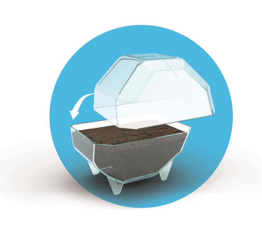 Mini Terrarium - Clementoni - Éléphant - Jeu de sciences et d'expériences - Des 7 ans - Fabriqué en Italie
