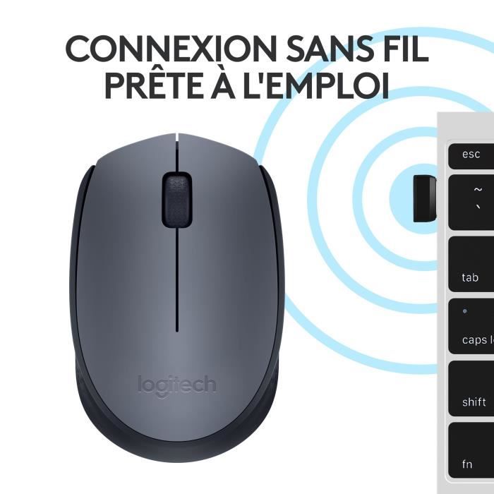 Souris - Sans fil - Logitech - M170 - Gris - Ambidextre