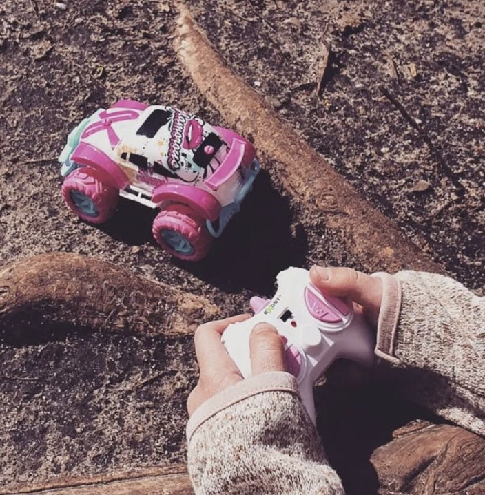 Voiture télécommandée tout-terrain rose EXOST MINI PIXIE - Format mini 14 cm - Des 5 ans