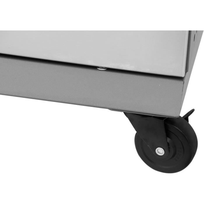 COOKING BOX Barbecue a gaz BRISBANE - Cuisine inox - 142x57x112 cm - Surface de cuisson : 70x42 cm - Gris