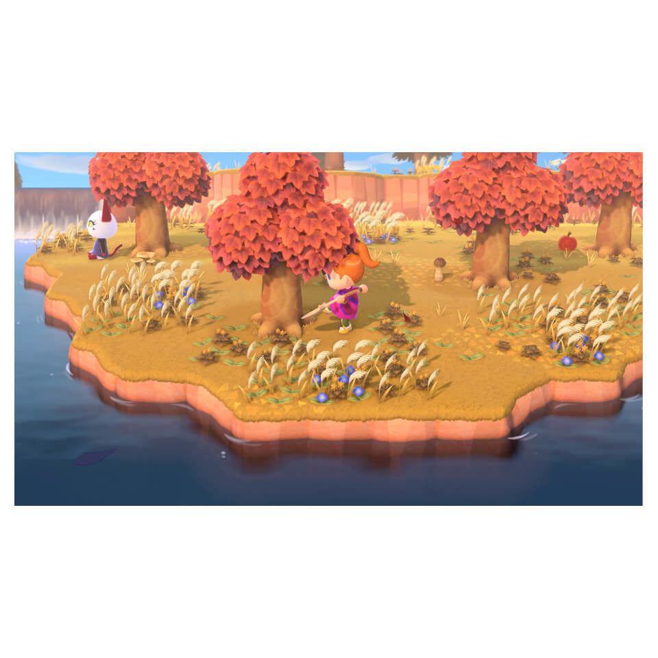 Animal Crossing: New Horizons • Jeu Nintendo Switch