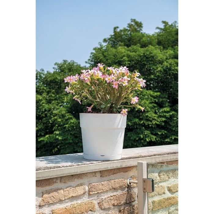 DEROMA Pot de fleurs Vaso Save R - 48 x H43,1 cm - 58L - Blanc