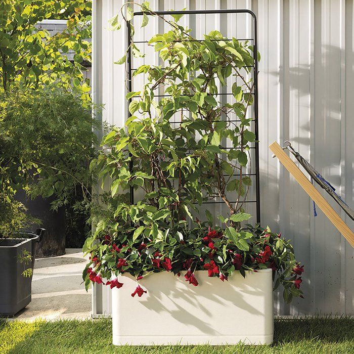 Porte-plantes - DEROMA - Cosmo - 78 x H 163 cm - Métal - Gris